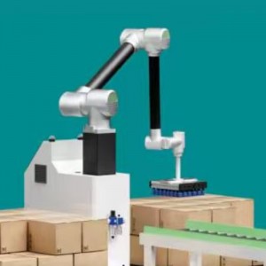 共同パレタイズワークステーション